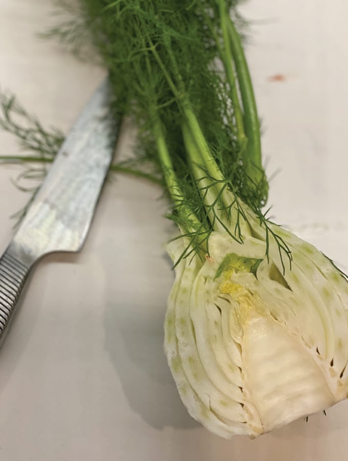 Fennel Bulb